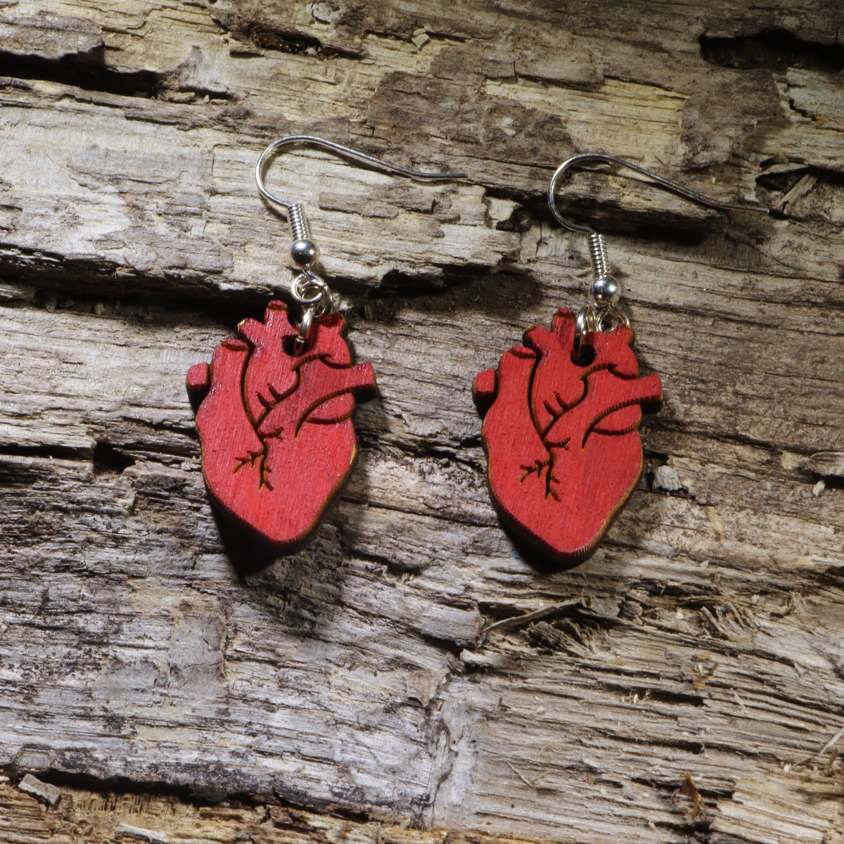Anatomical Heart Wooden Earrings