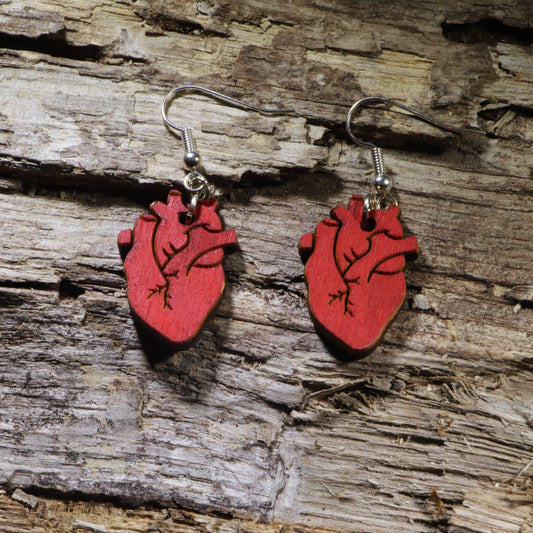 Anatomical Heart Wooden Earrings